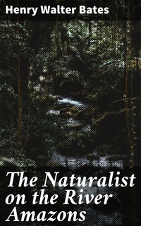 Abbildung von: The Naturalist on the River Amazons - Good Press
