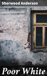 Enlarge image Cover: Poor White - Good Press