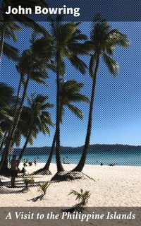 Abbildung von: A Visit to the Philippine Islands - Good Press