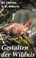 Cover: Gestalten der Wildnis - Good Press