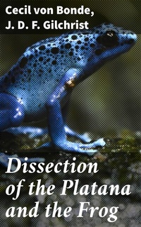 Abbildung von: Dissection of the Platana and the Frog - Good Press