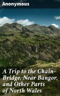 Abbildung von: A Trip to the Chain-Bridge, Near Bangor, and Other Parts of North Wales - Good Press