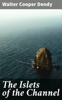 Abbildung von: The Islets of the Channel - Good Press