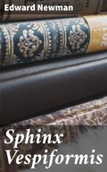 Cover: Sphinx Vespiformis - Good Press