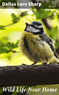 Enlarge image Cover: Wild Life Near Home - Good Press