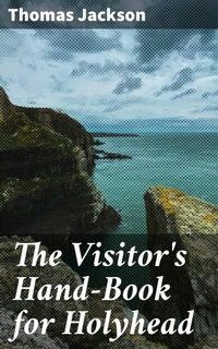 Abbildung von: The Visitor's Hand-Book for Holyhead - Good Press