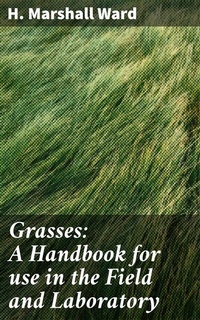 Abbildung von: Grasses: A Handbook for use in the Field and Laboratory - Good Press