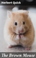 Cover: The Brown Mouse - Good Press