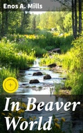 Cover: In Beaver World - Good Press
