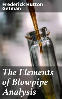 Abbildung von: The Elements of Blowpipe Analysis - Good Press
