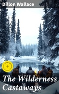 Cover: The Wilderness Castaways - Good Press