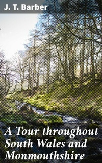Abbildung von: A Tour throughout South Wales and Monmouthshire - Good Press
