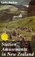 Cover: Station Amusements in New Zealand - Good Press