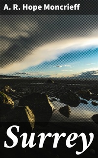 Enlarge image Cover: Surrey - Good Press