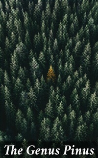 Abbildung von: The Genus Pinus - Good Press