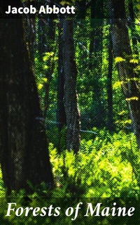 Abbildung von: Forests of Maine - Good Press