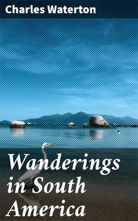 Abbildung von: Wanderings in South America - Good Press