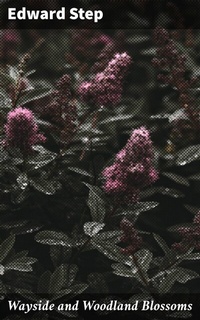 Abbildung von: Wayside and Woodland Blossoms - Good Press