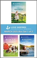 Cover: Love Inspired March 2025 Box Set - 1 of 2 - Love Inspired