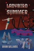 Cover: Ladybird Summer - Austin Macauley Publishers