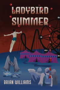 Enlarge image Cover: Ladybird Summer - Austin Macauley Publishers