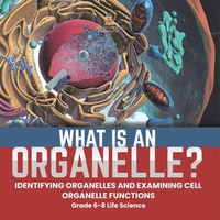 Abbildung von: What is an Organelle? Identifying Organelles and Examining Cell Organelle Functions Grade 6-8 Life Science - Baby Professor