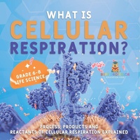 Abbildung von: What is Cellular Respiration? Process, Products and Reactants of Cellular Respiration Explained Grade 6-8 Life Science - Baby Professor