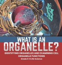 Abbildung von: What is an Organelle? Identifying Organelles and Examining Cell Organelle Functions Grade 6-8 Life Science - Baby Professor
