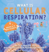Abbildung von: What is Cellular Respiration? Process, Products and Reactants of Cellular Respiration Explained Grade 6-8 Life Science - Baby Professor