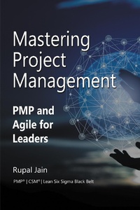 Abbildung von: Mastering Project Management - Business Expert Press