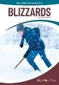 Cover: Blizzards - Brightpoint Press