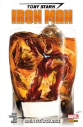 Cover: Tony Stark: Iron Man 2 - Identit&auml;tskrise - Marvel bei Panini Comics