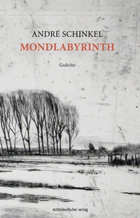 Abbildung von: Mondlabyrinth - Mitteldeutscher Verlag