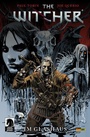 Cover: The Witcher, Band 1 - Im Glashaus - PANINI