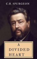 Cover: A Divided Heart - Darolt Books