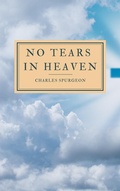 Cover: No Tears In Heaven - Darolt Books