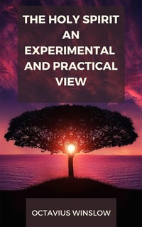 Enlarge image Cover: The Holy Spirit, An Experimental And Pratical View - Darolt Books
