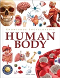 Cover: Knowledge Encyclopedia - Human Body - Prakash Books