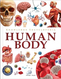 Enlarge image Cover: Knowledge Encyclopedia - Human Body - Prakash Books