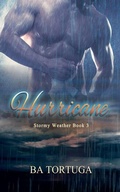 Cover: Hurricane - Turtlehat Creatives