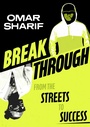 Cover: Breakthrough - Wren & Rook