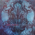 Cover: Julia R&uuml;ther - Tedden, Peter