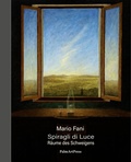 Cover: Spiragli di Luce - PalmArtPress