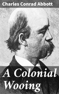Enlarge image Cover: A Colonial Wooing - Good Press
