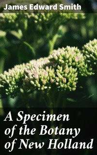 Abbildung von: A Specimen of the Botany of New Holland - Good Press