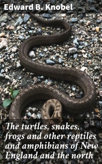 Abbildung von: The turtles, snakes, frogs and other reptiles and amphibians of New England and the north - Good Press