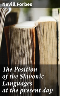 Enlarge image Cover: The Position of the Slavonic Languages at the present day - Good Press
