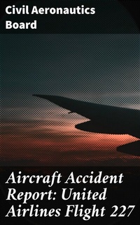 Abbildung von: Aircraft Accident Report: United Airlines Flight 227 - Good Press