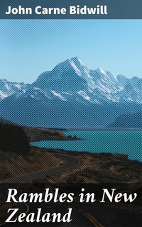 Abbildung von: Rambles in New Zealand - Good Press