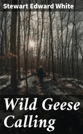 Cover: Wild Geese Calling - Good Press